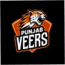 Punjab Veers