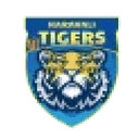 Karavali Tigers
