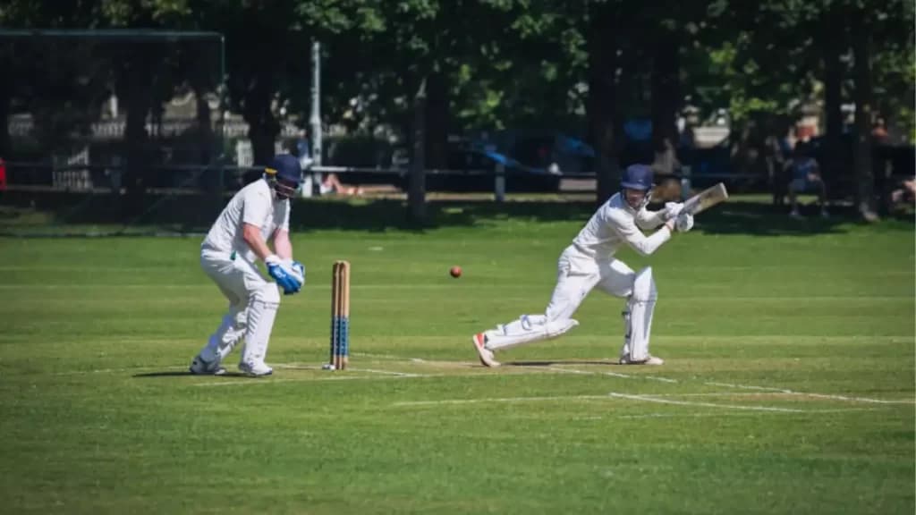 How To Bet On Cricket: Beginners Guide