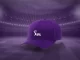 IPL 2025 Purple Cap: Full List of Top 5 Leading Wicket-Taker