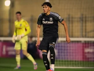 Aston Villa vs Fulham FC Match Prediction